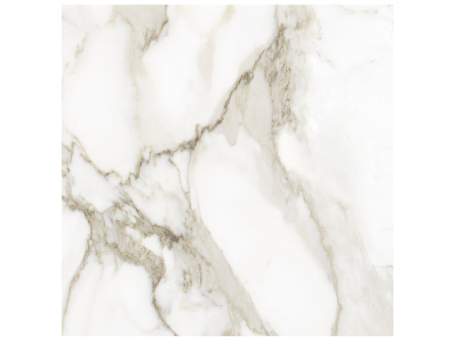 La Marca Calacatta Paonazzo 600x600mm Honed Floor/Wall Tile (1.44m2 box)