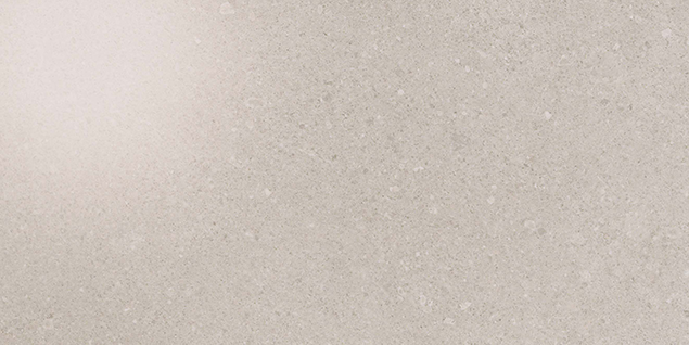 Kone Silver 300x600mm Polished Finish Floor Tile (1.26m2 box)